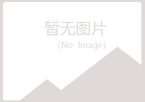 七台河白山造纸有限公司